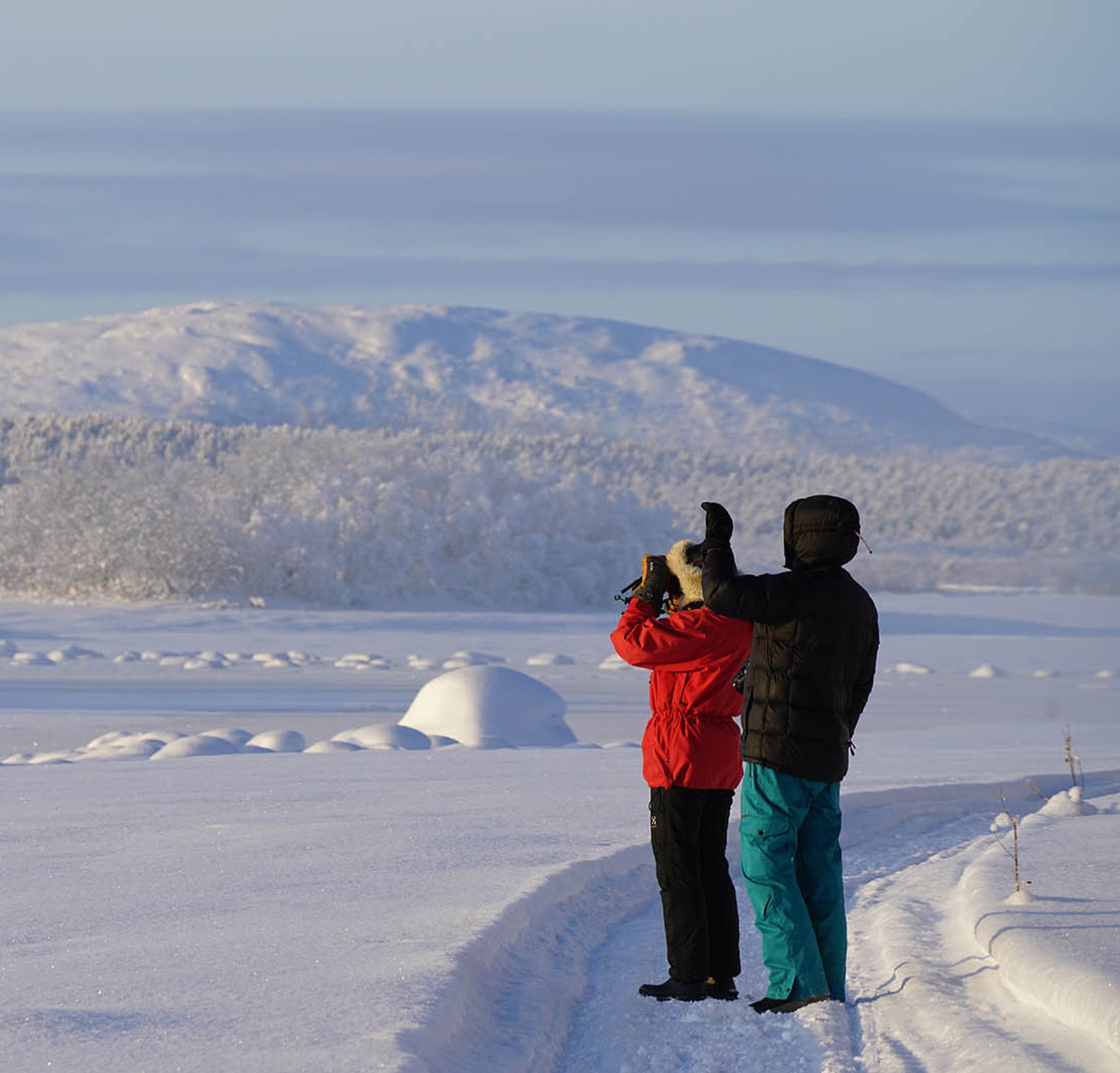Ecotours djur- och naturtur 