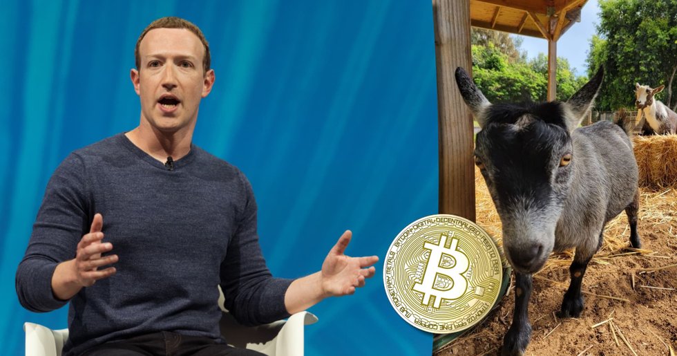 Mark Zuckerbergs ena get heter Bitcoin – det här kan det innebära