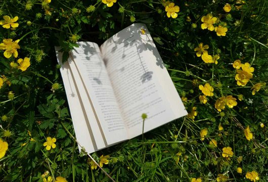 Vårens böcker 2026