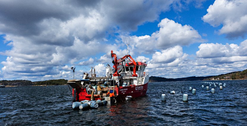 Ombord på M/S Märta kan gäster åka med ut till musselodlingarna. Foto: Linn Bergbrant