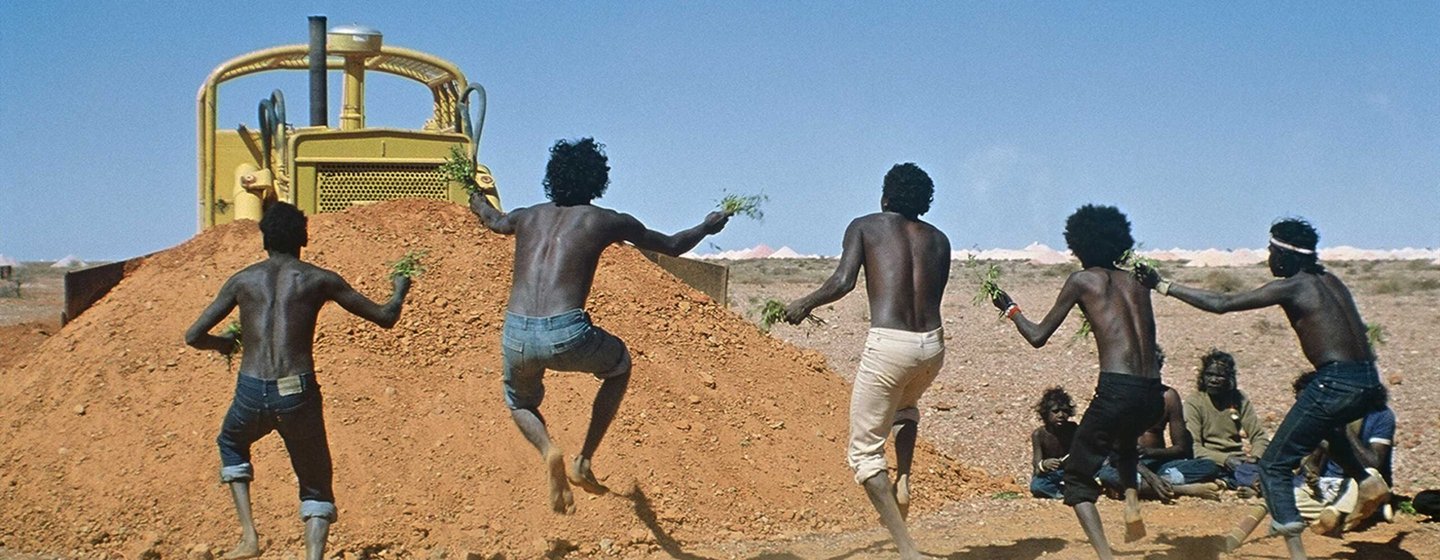 Where the Green Ants Dream