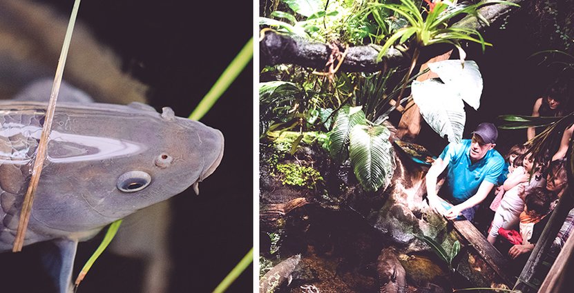 Runt 200 000 stockholmare och turister per år besöker Aquaria som nu ska stänga. Foto: Aquaria