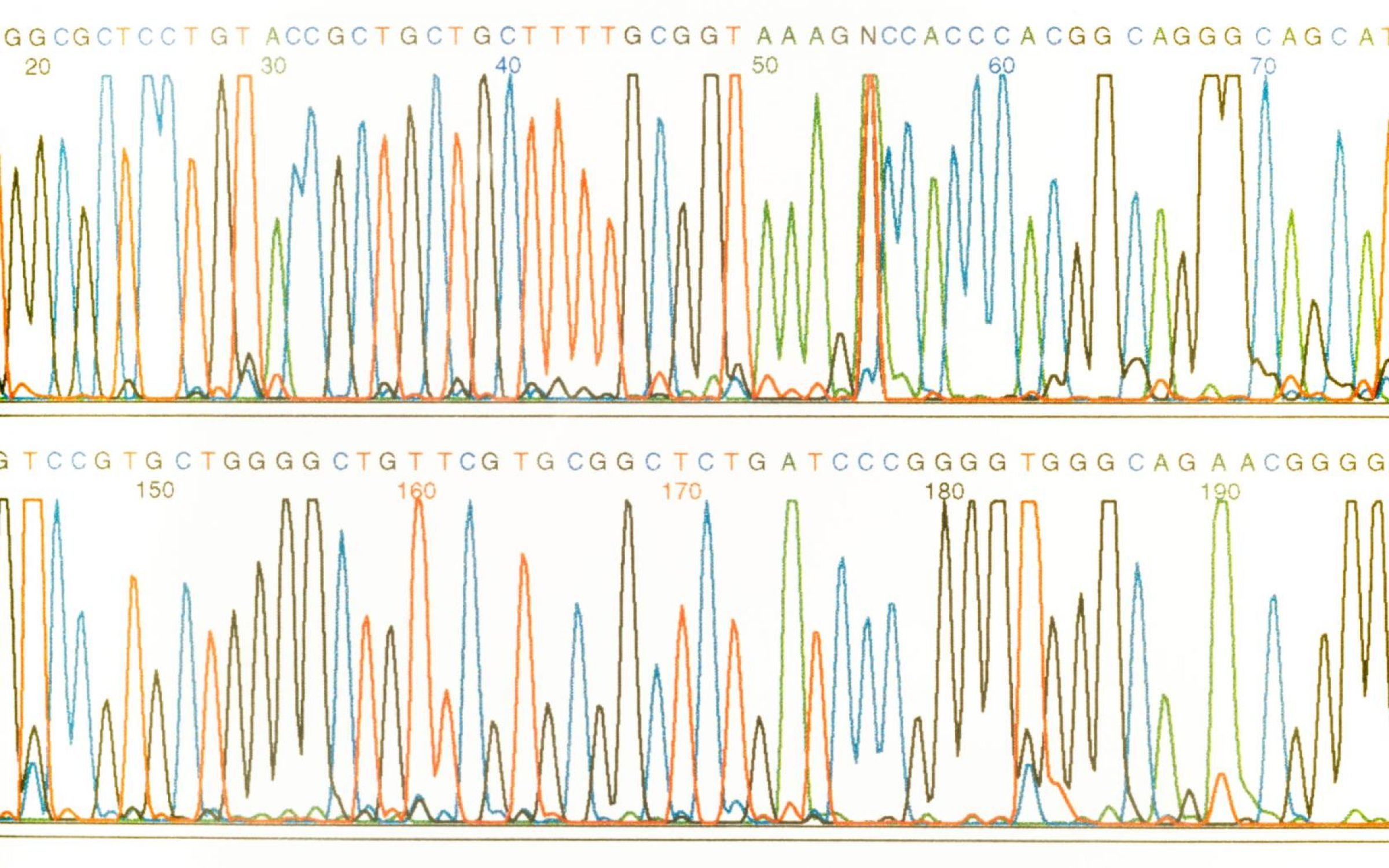 DNA Sequence chromatograms produced by automated sequencing machines. Credit: Mark Harmel / Alamy Stock Photo.