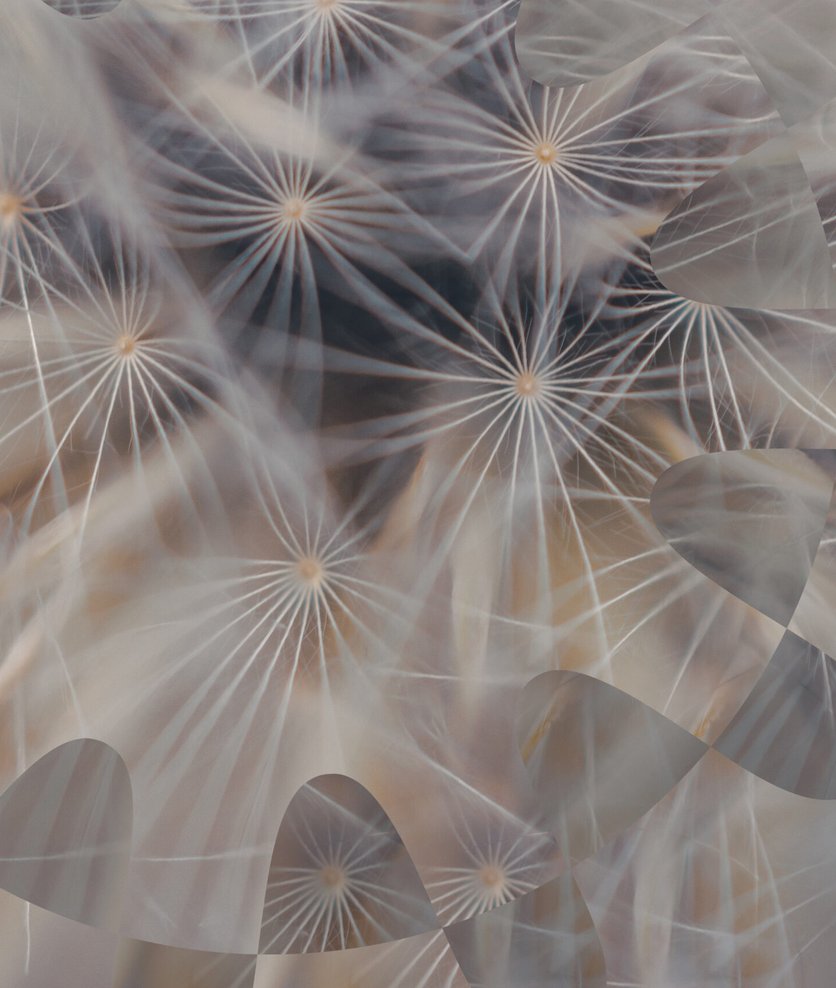 Flower Publishes Trading Performance for July, 2026