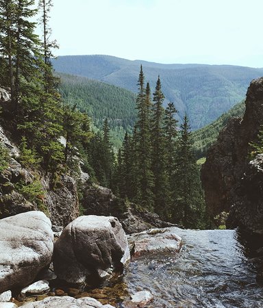 Därför mår vi bra av att vara ute i naturen
