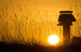 Kraftig kritik mot flygskatten