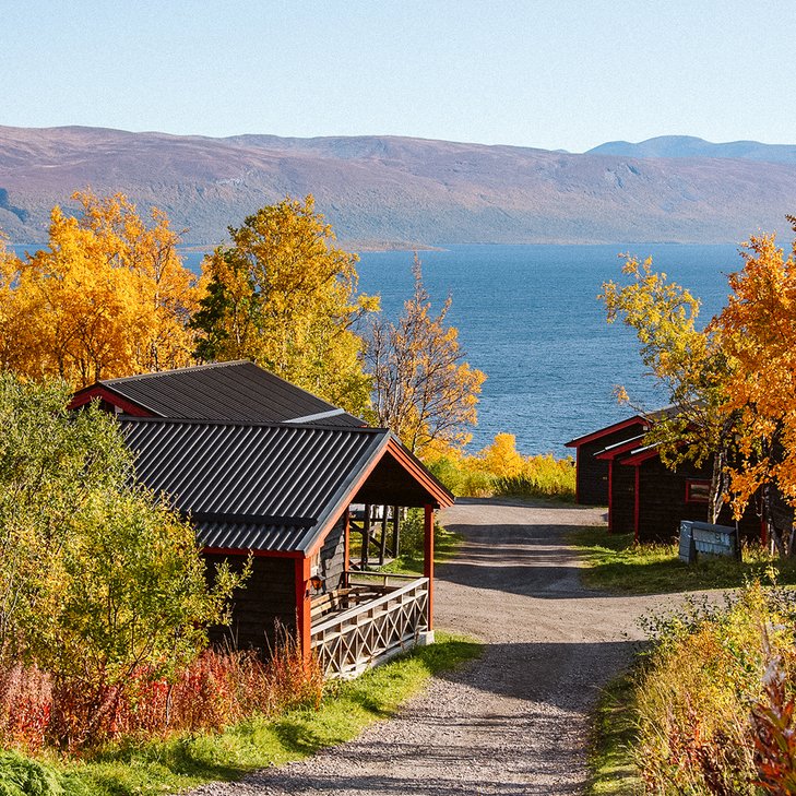 en solig dag i K&aring;ppas stugby med fj&auml;llbj&ouml;rkarna i brandgula f&auml;rger
