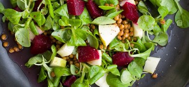 bladgrönsaker med rödbetor