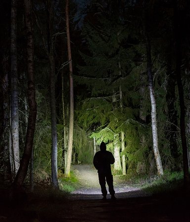 Det svenska deckarundret – 6 boktips av författarna bakom fenomenet