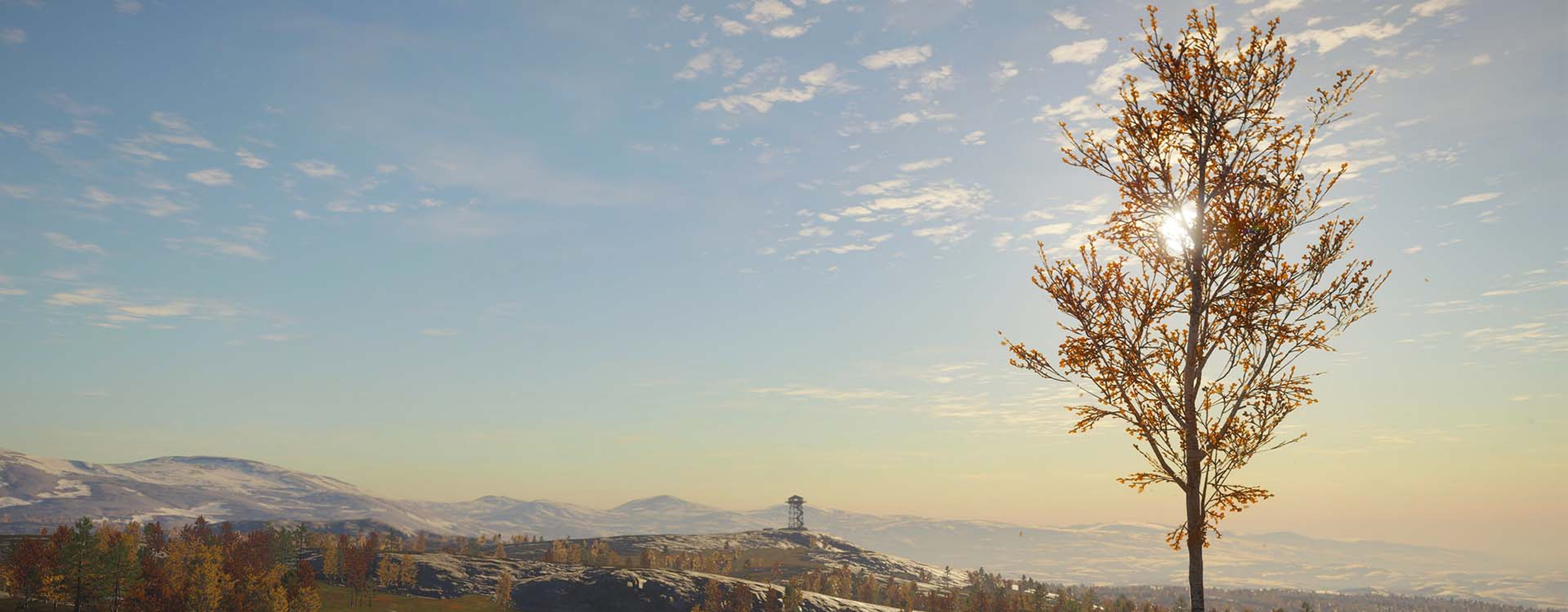 A young, standalone birch tree overlooks the Finnish uplands and a lookout tower in the distance.