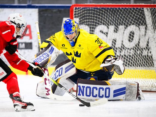 Vanliga ord och begrepp i målvaktsspel