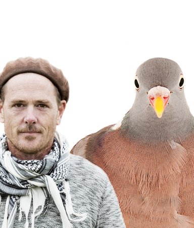 Våra närmaste fåglar som du aldrig mött dem förut