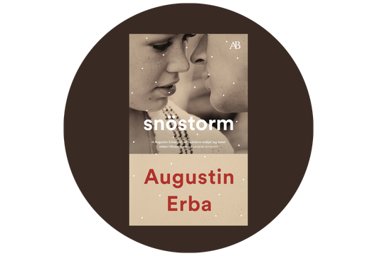 Sn&ouml;storm av Augustin Erba