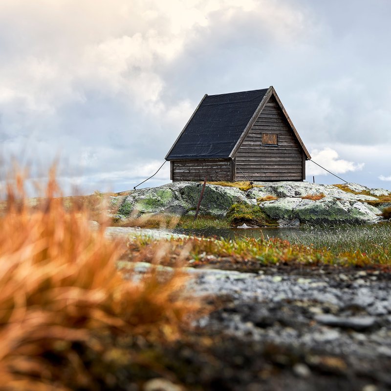 Djupa skogar och iskalla fjäll- böcker som utspelar sig i Jämtland