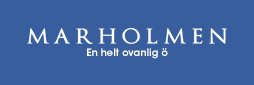 Innesäljare konferens