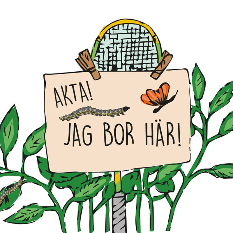 Våga prata om det: 8 viktiga barnböcker om klimatet