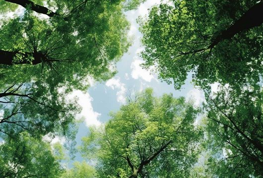 Sommarens b&ouml;cker 2026