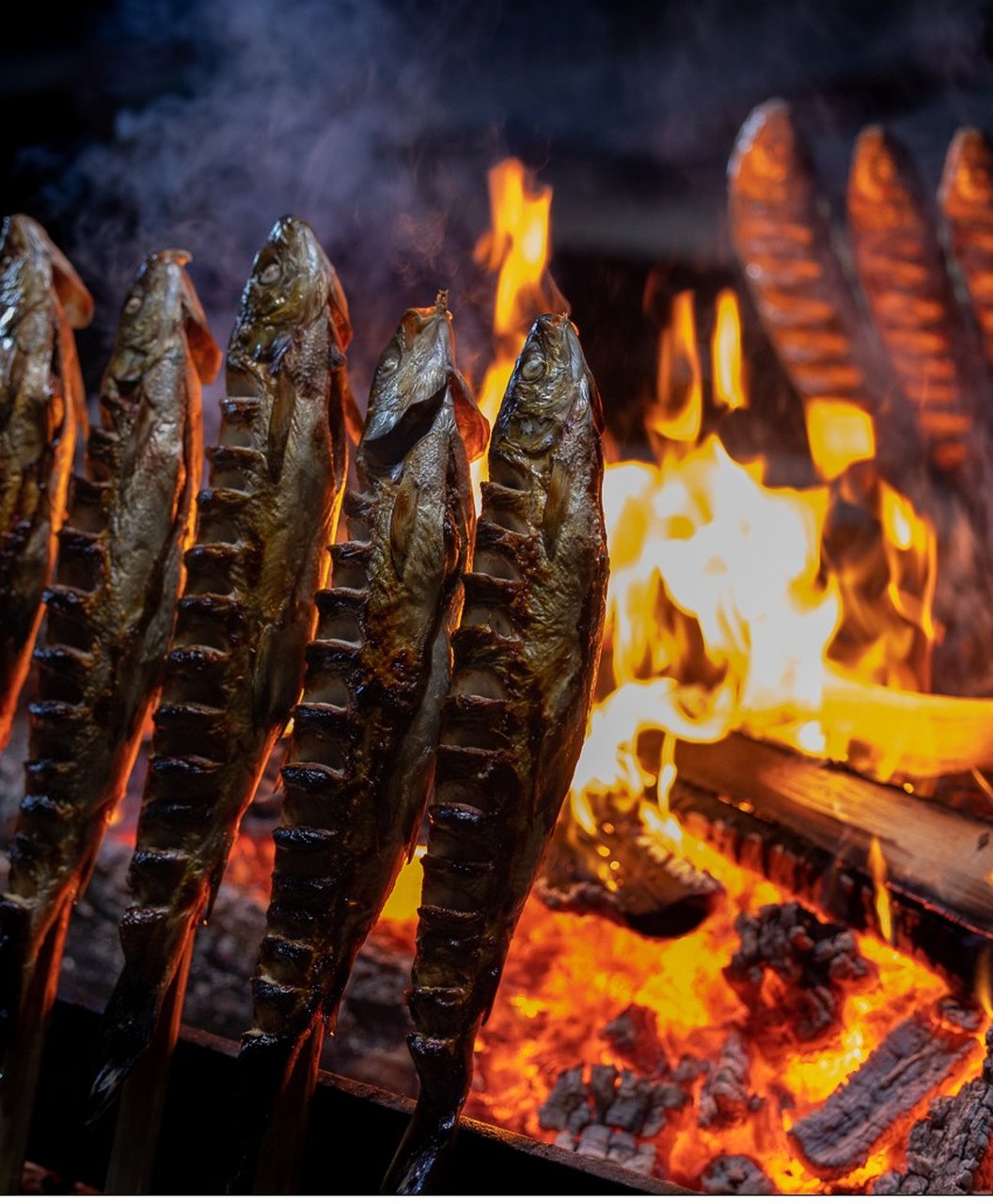 Grillid Whitefish in Kukkolaforsen