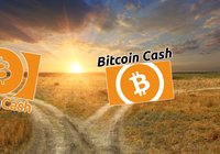 Daily crypto: Markets are rising and bitcoin cash divides itself