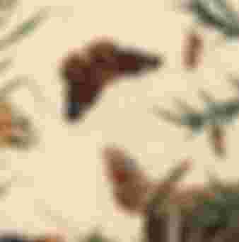 The Aurelian; a Natural History of English Moths and Butterflies, published by Henry Bohn, London, 1840.