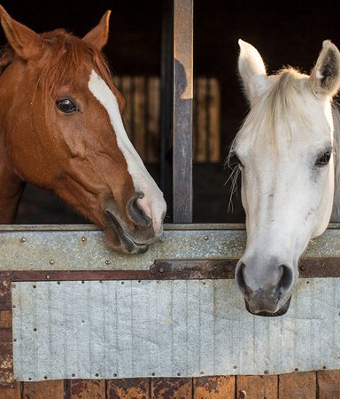 Böckerna att läsa efter att du sett 