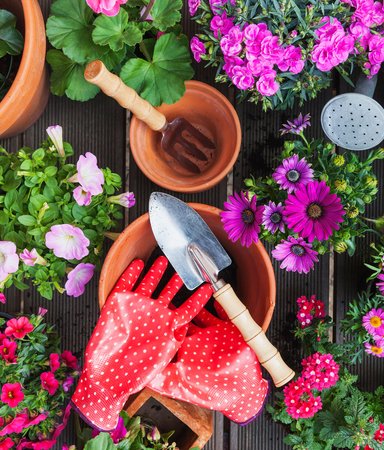 5 böcker med blommor och växter i handlingen