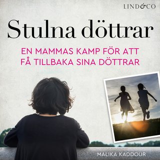 Sett klart Kalifat? Här är 6 böcker som fyller tomrummet