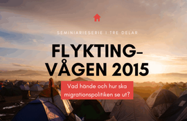 Flyktingvågen 2015 – vad hände?