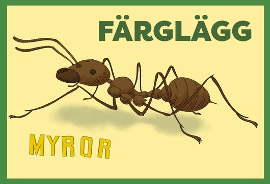 Myror f&auml;rgl&auml;gg