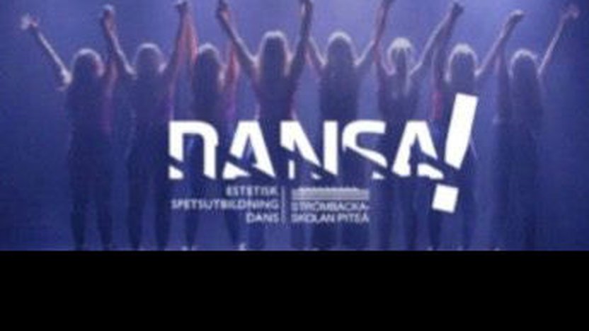 DANSA_2019
