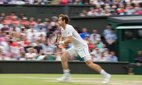 Andy Murray at the Wimbledon Championships in 2015