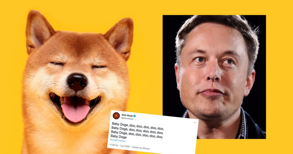 Elon Musk twittrar om nya kryptovalutan baby doge – priset rusar 130 procent.