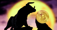 Bitcoins stundande tjurmarknad, att förstå den digitala valutan