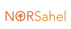 Norsahel logo