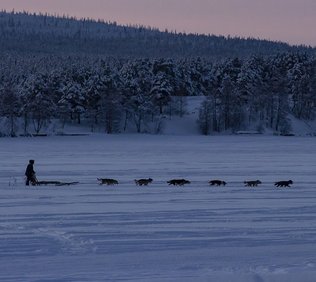 Hundspann Jukkasjärvi