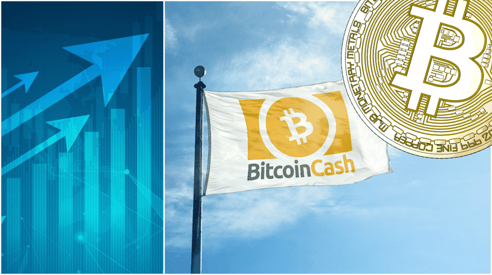 Daily crypto: Bitcoin cash rallies and bitcoin is over $4,000 again.