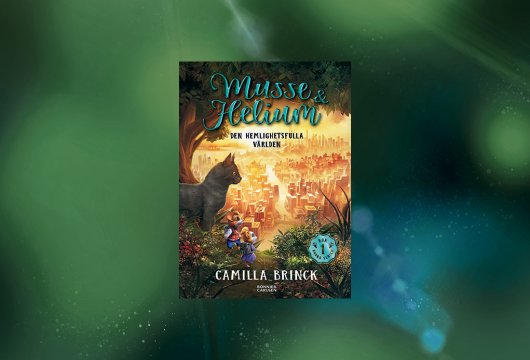 Del 6: Den hemlighetsfulla världen