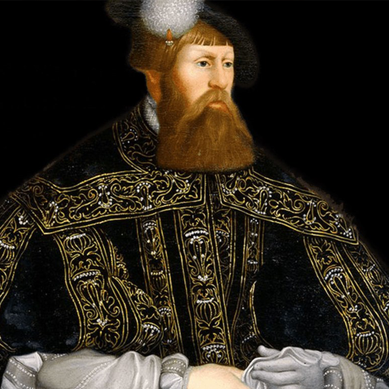 5 av de bästa böckerna om Gustav Vasa