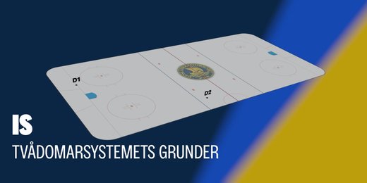 2DS: Grunderna i tvådomarsystemet