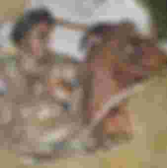 Wiki Creative Commons