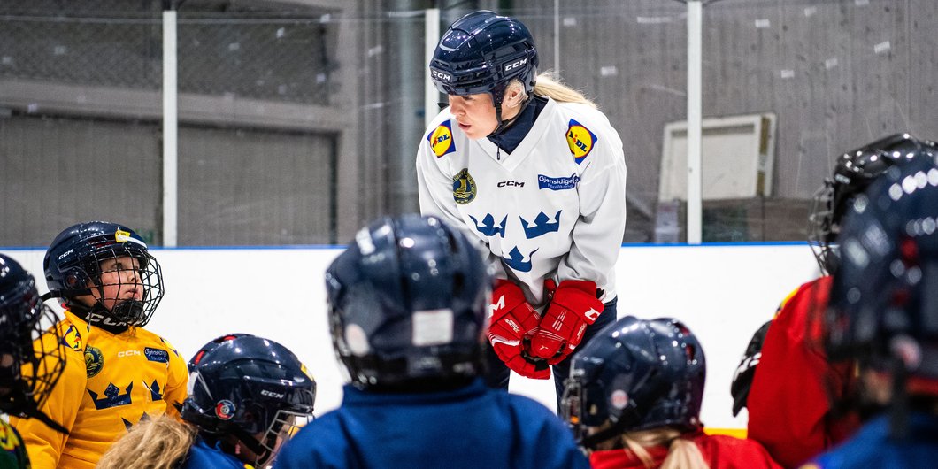 Introduktion för dig som är tränare inom ishockeyn