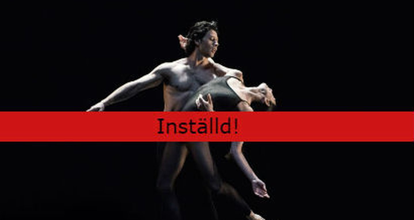 Installd_TrioConcertDance_Kvadrat