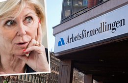 Eva Östling riktar skarp kritik mot för långsamt snabbspår