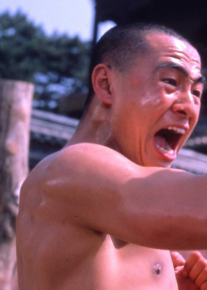 Disciples of Shaolin Temple