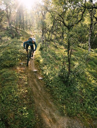 mountainbike bland fj&auml;llbj&ouml;rkar