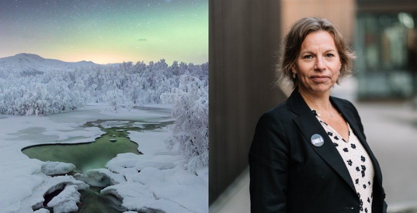 Gabriella Hed Vall, vd Visit Umeå