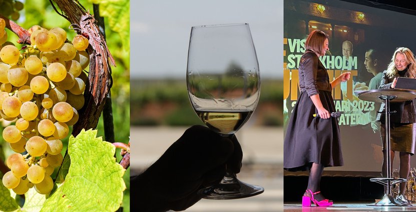 Om förslaget om gårdsförsäljning går igenom betyder det mycket både för producenterna och den lokala besöksnäringen, menar Visitas näringspolitiska chef Anna Wallén, som ställde frågor till Sveriges energi- och näringsminister Ebba Busch under tisdagskvällen. 
