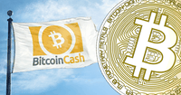 Bitcoin cash fortsätter rusa – är nu världens fjärde största kryptovaluta