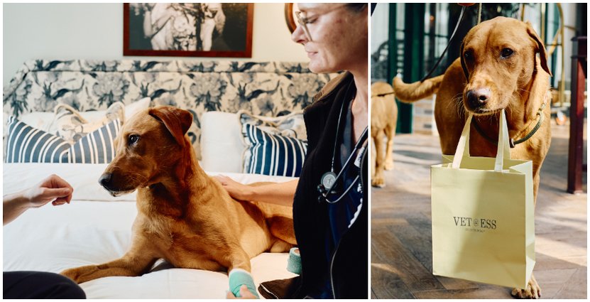 ESS Group lanserar veterinärservice. 