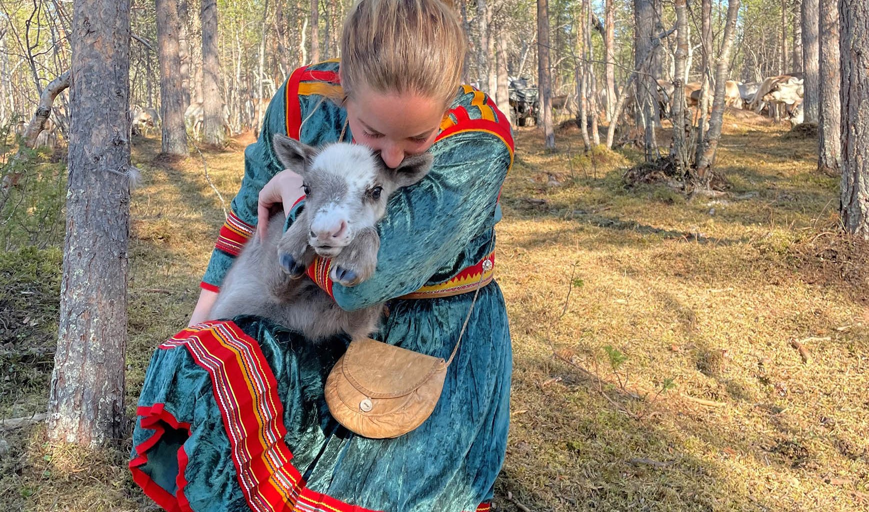 Renkalvsmånaden i maj med Go to Lapland